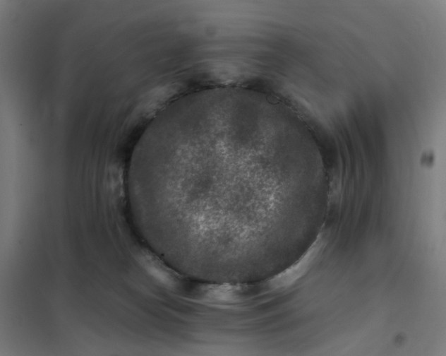 X0000101710182200807241504