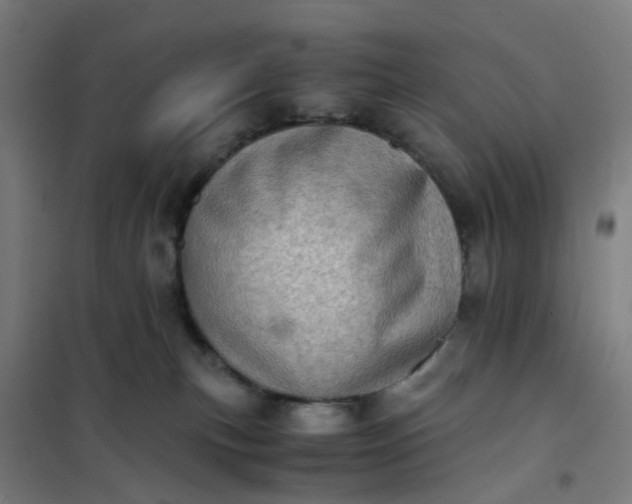 X0000101710183200807241504