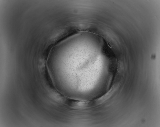 X0000101710184200807241504