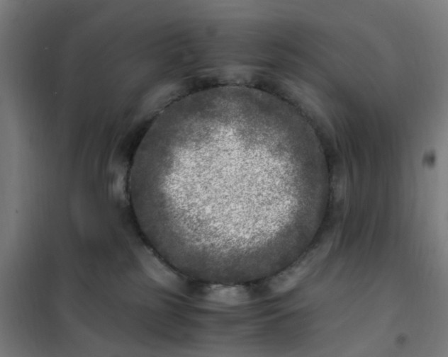 X0000101710185200807241504