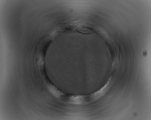 X0000101710186200807241504