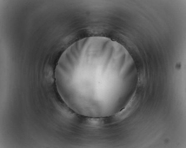 X0000101710187200807241504