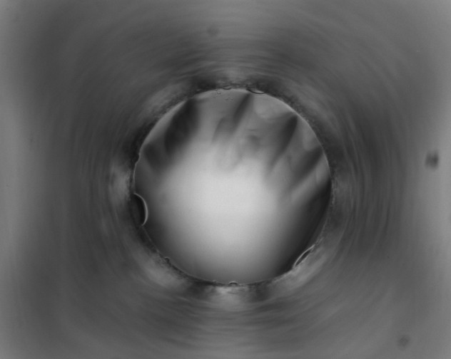 X0000101710188200807241504