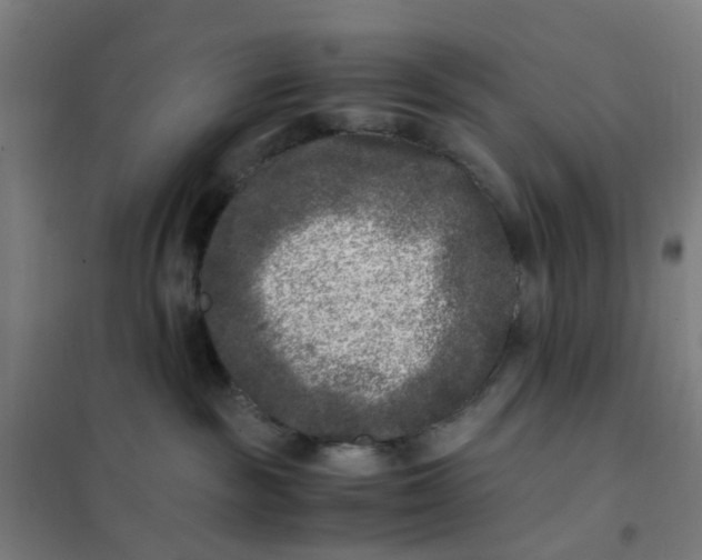 X0000101710189200807241504