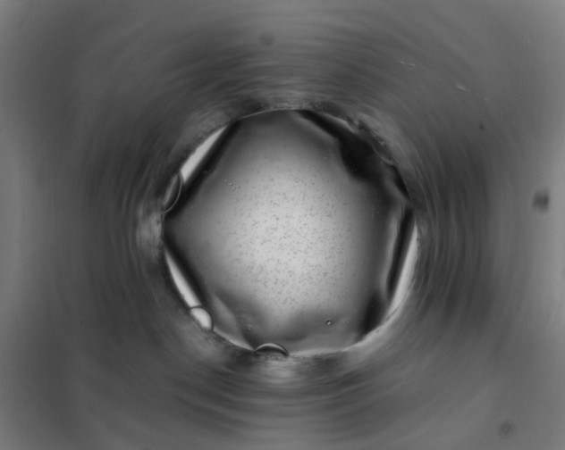 X0000101710190200807241504