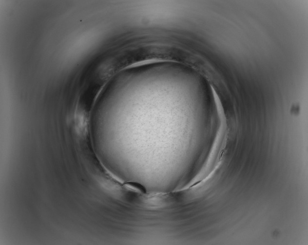 X0000101710191200807241504