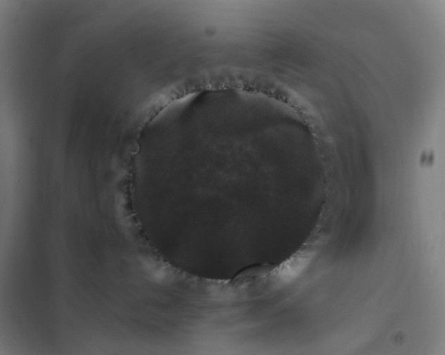 X0000101710192200807241504