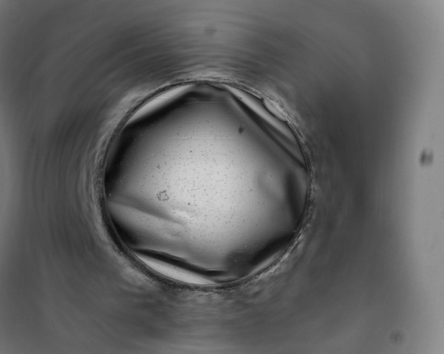 X0000101710193200807241503