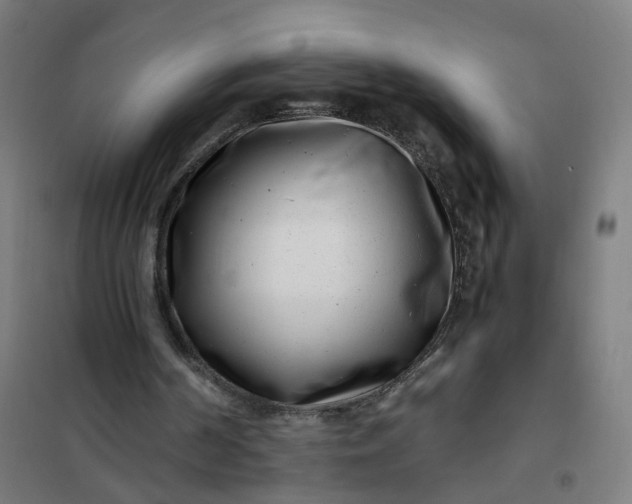 X0000101710194200807241503