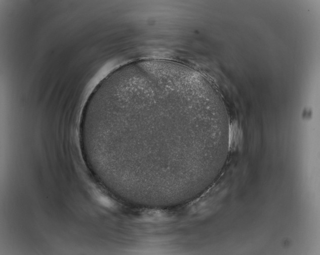 X0000101710195200807241503