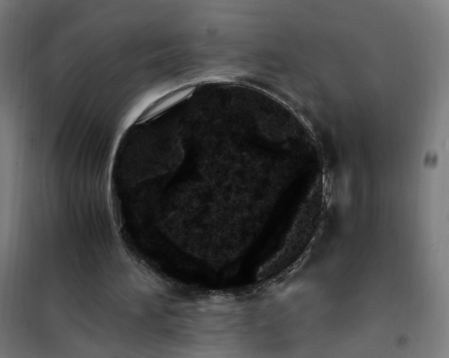 X0000101710196200807241503