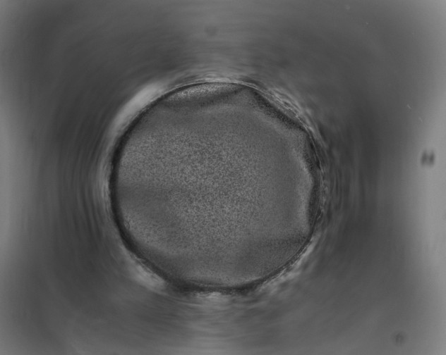 X0000101710197200807241503