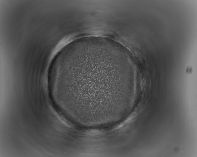 X0000101710198200807241503