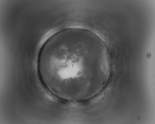 X0000101710199200807241503