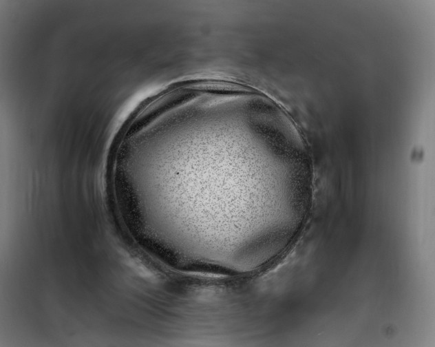 X0000101710200200807241503