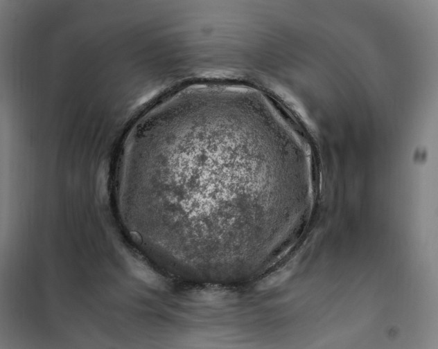 X0000101710201200807241503