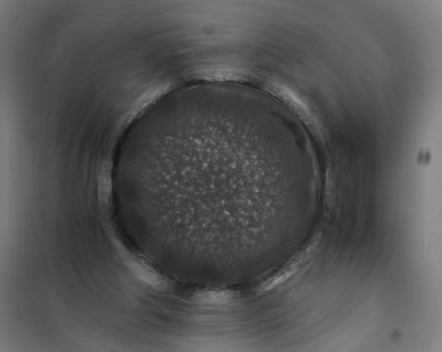 X0000101710202200807241503