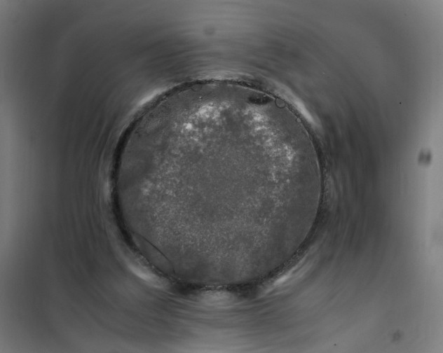 X0000101710203200807241503