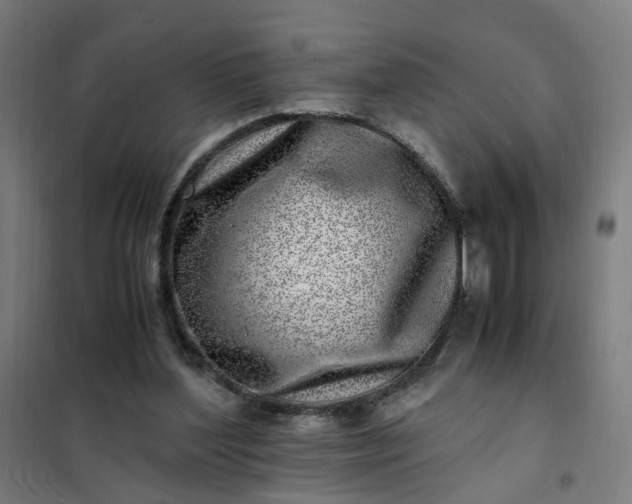 X0000101710204200807241503