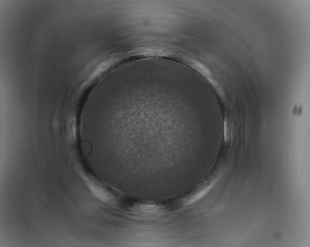 X0000101710205200807241503