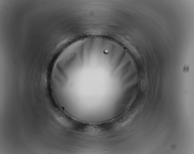 X0000101710207200807241503