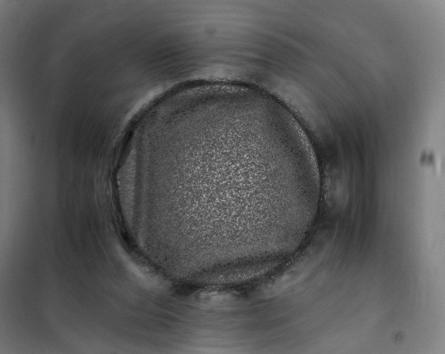 X0000101710208200807241503