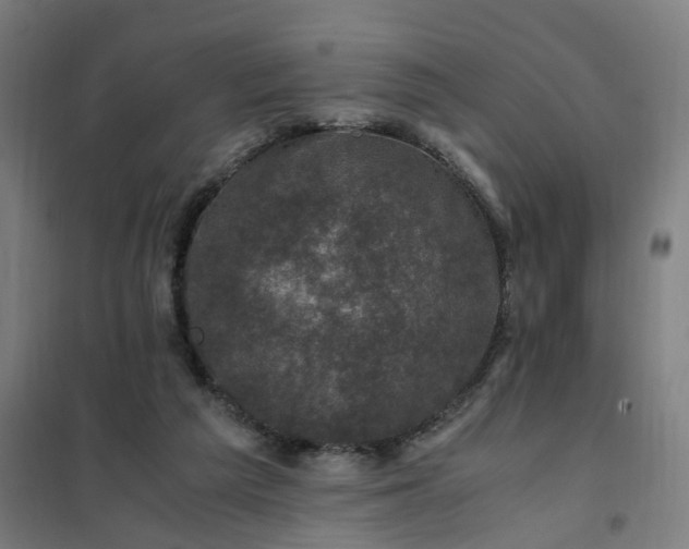 X0000101710209200807241503