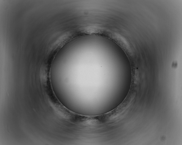 X0000101710210200807241503