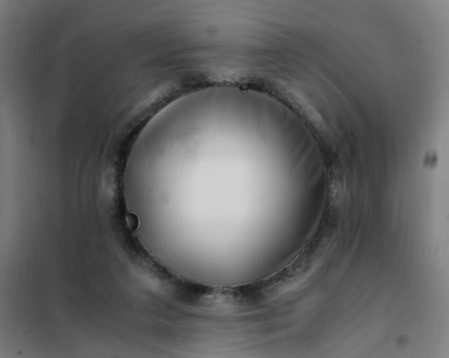 X0000101710211200807241503