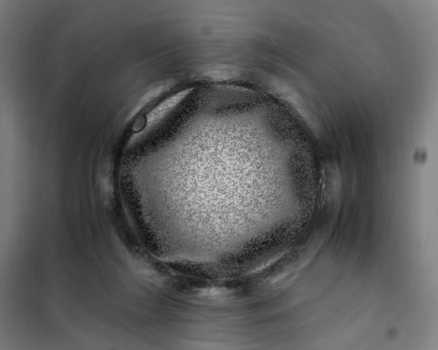 X0000101710212200807241503