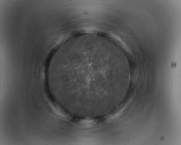 X0000101710213200807241503