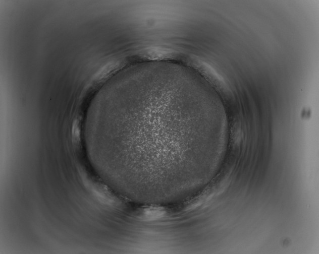 X0000101710214200807241503