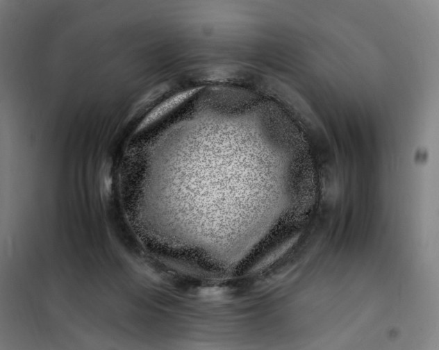 X0000101710216200807241503