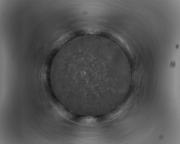 X0000101710217200807241503