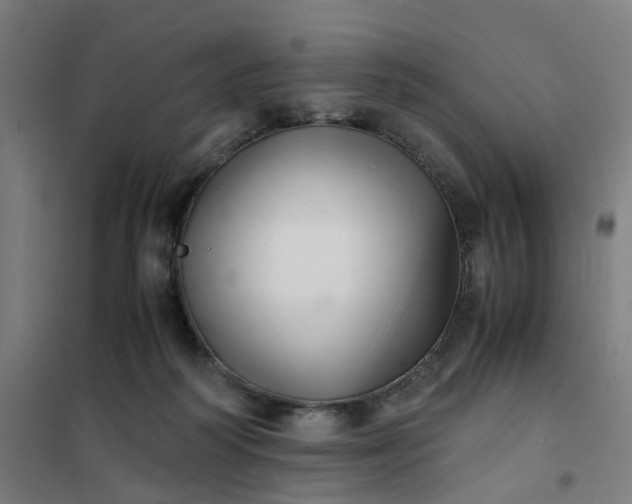 X0000101710218200807241503