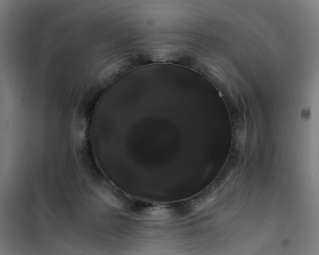 X0000101710219200807241503