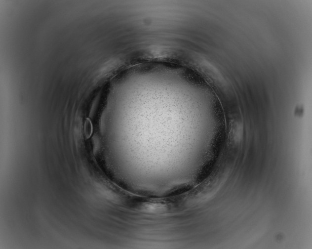 X0000101710220200807241503