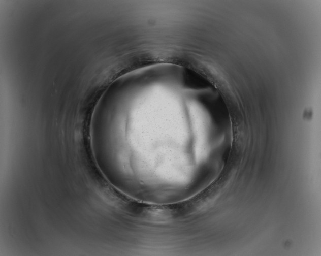 X0000101710221200807241503