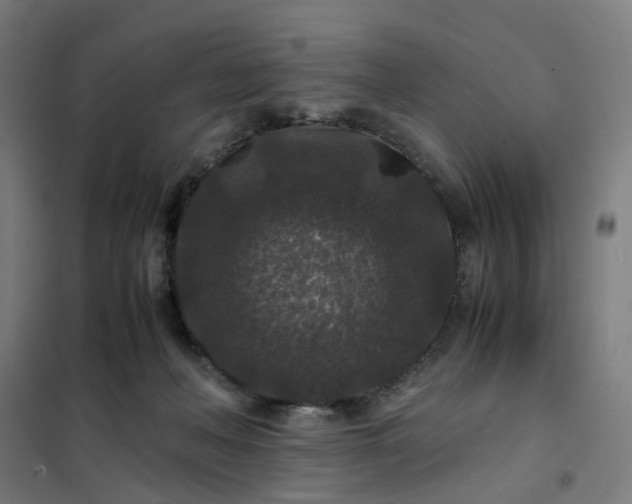 X0000101710222200807241503