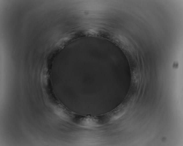 X0000101710223200807241503