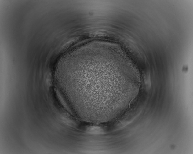 X0000101710224200807241503