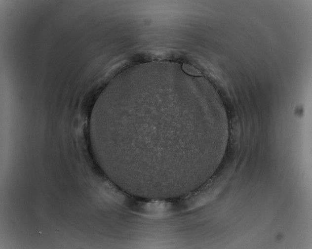 X0000101710225200807241503