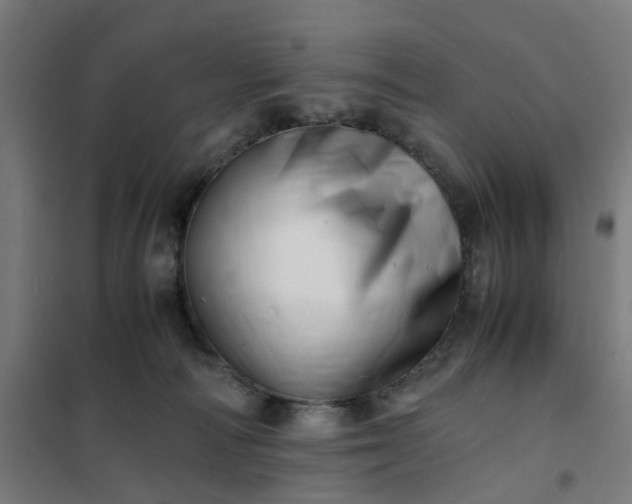 X0000101710226200807241503