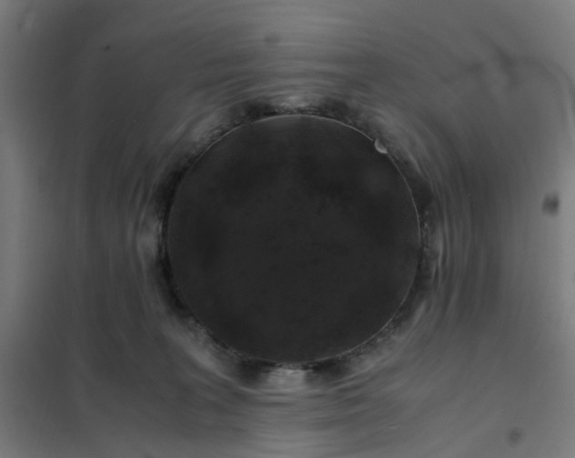 X0000101710227200807241503