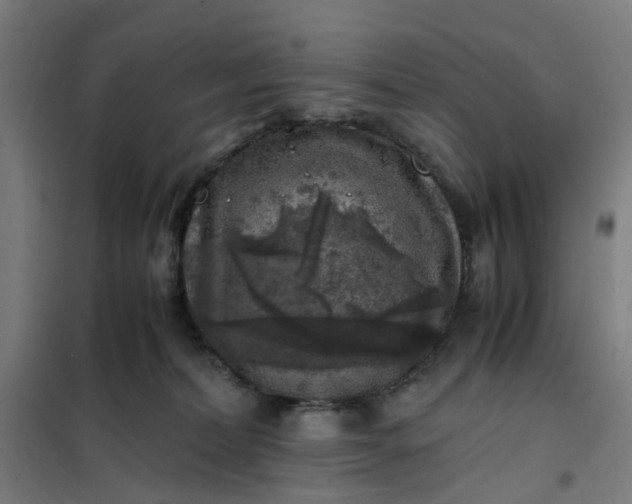 X0000101710228200807241503