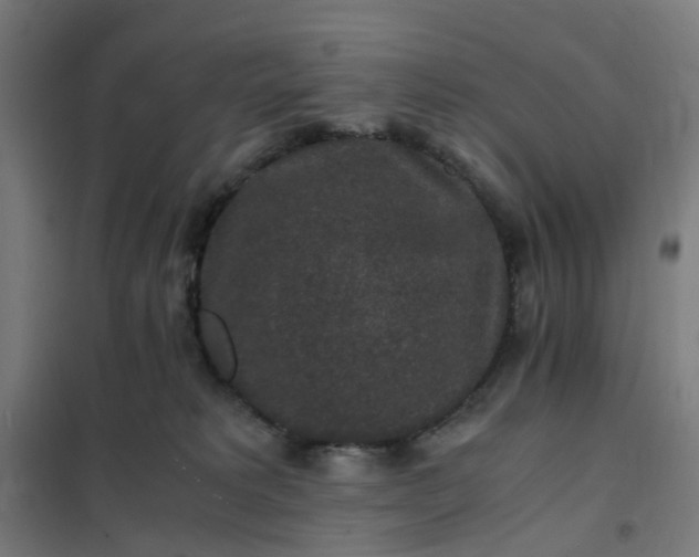 X0000101710229200807241503