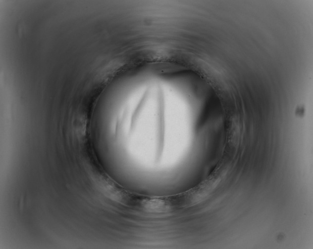 X0000101710230200807241503