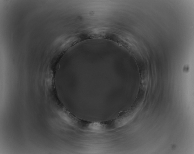 X0000101710231200807241502