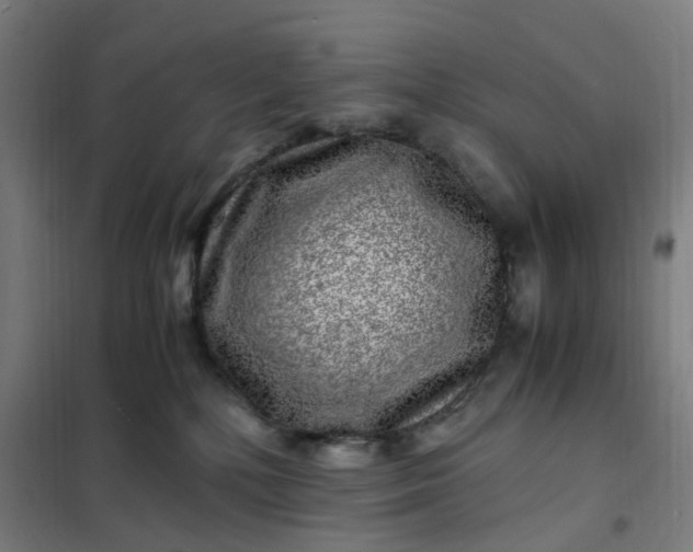 X0000101710232200807241502