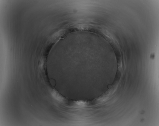 X0000101710233200807241502